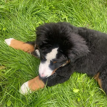 New G&p - Free Parking Apartment