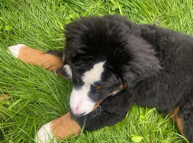 New G&p - Free Parking 公寓